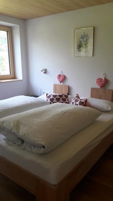 Appartement Haus Katharina à Schnepfau Extérieur photo